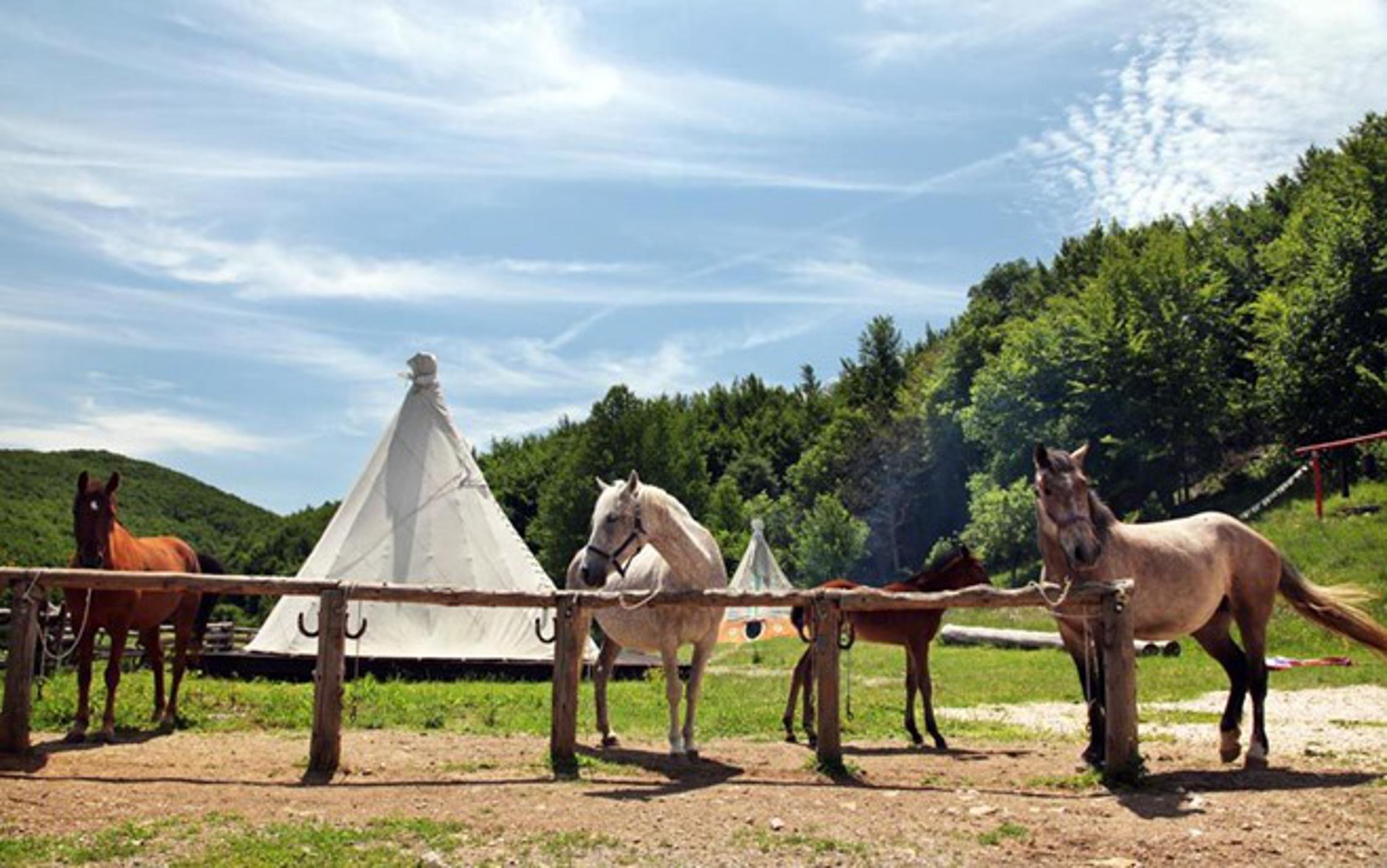 Konji na ranču Linden