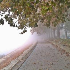 Maglovito listopadsko jutro u Slavonskom Brodu